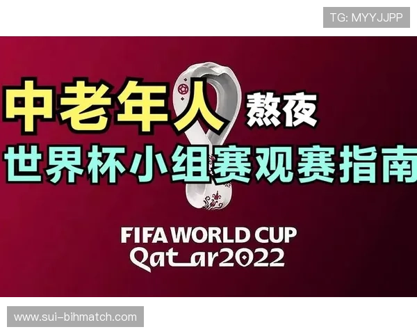2026年美国世界杯观赛指南：购票攻略、直播平台及观赛注意事项