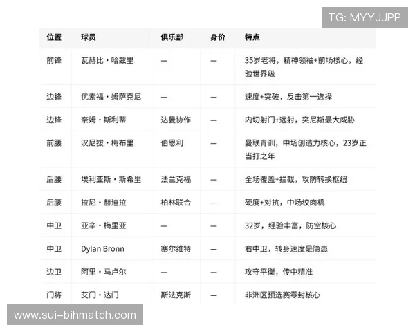 2026年世界杯瑞典与突尼斯比赛中红黄牌的判罚规则及影响因素全面解读